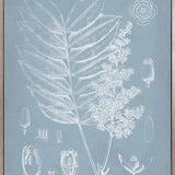 Botanical Study (Pale Blue) I (Canvas)
