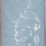 Botanical Study (Pale Blue) II (Canvas)