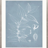 Botanical Study (Pale Blue) II
