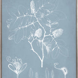 Botanical Study (Pale Blue) V (Canvas)