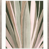 Del Mar Tropic V