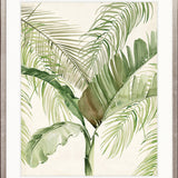 Exquisite Palm II