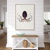 D'Orbigny Marine II (Canvas) Large (903mm W x 1109mm H)