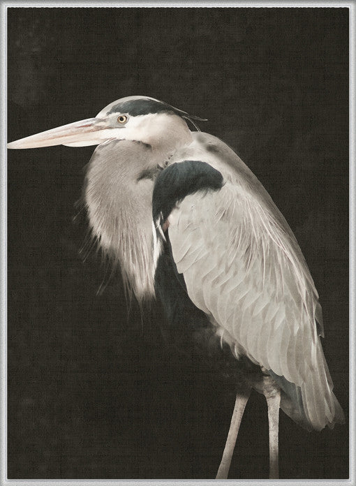 East Hampton Heron III (Canvas)