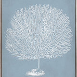 Curious Coral Delight VII (Canvas)