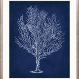 Curious Coral Delight VIII