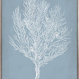 Curious Coral Delight IX (Canvas)