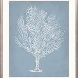 Curious Coral Delight IX