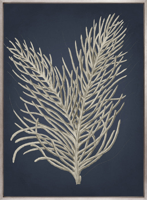Coral Curiosity I (Canvas)