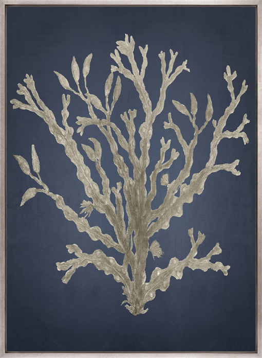 Coral Curiosity II (Canvas)