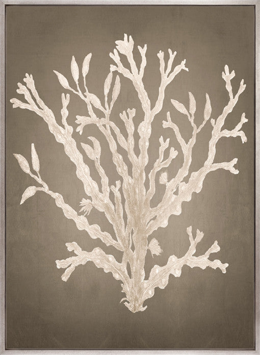 Coral Curiosity V (Canvas)