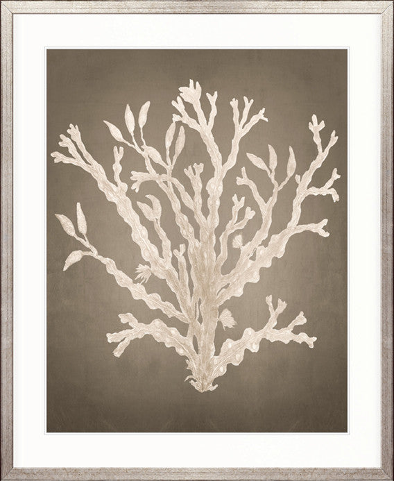 Coral Curiosity V