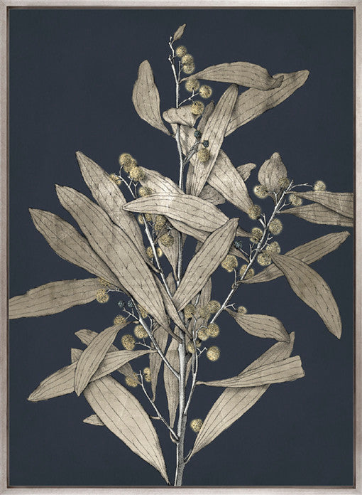 Botanical Etching I (Canvas)