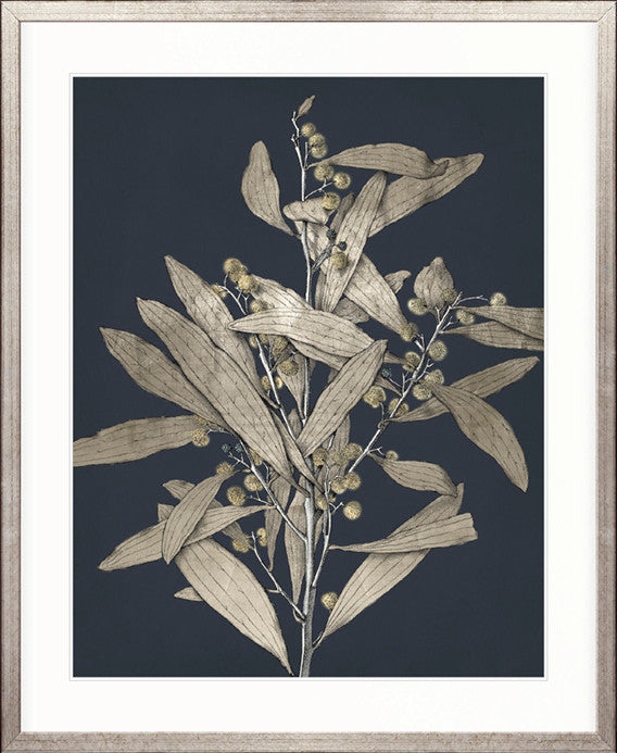 Botanical Etching I