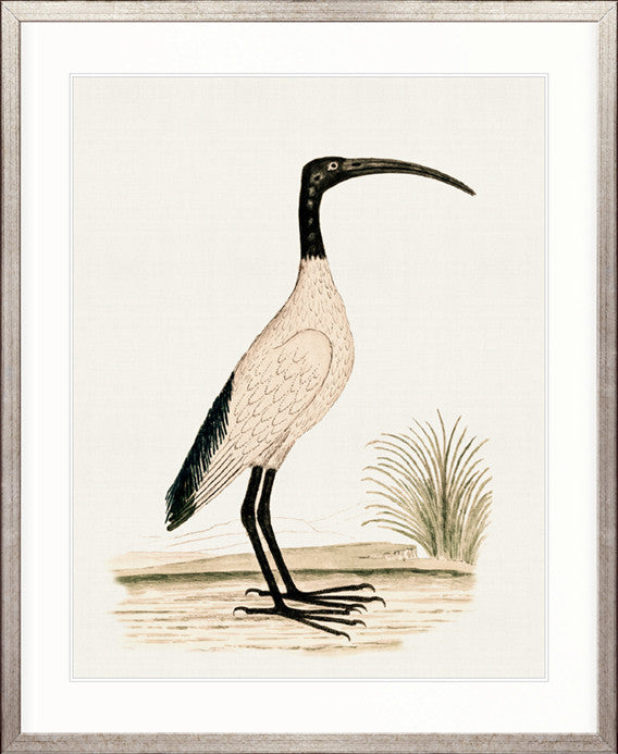 Waterbirds I