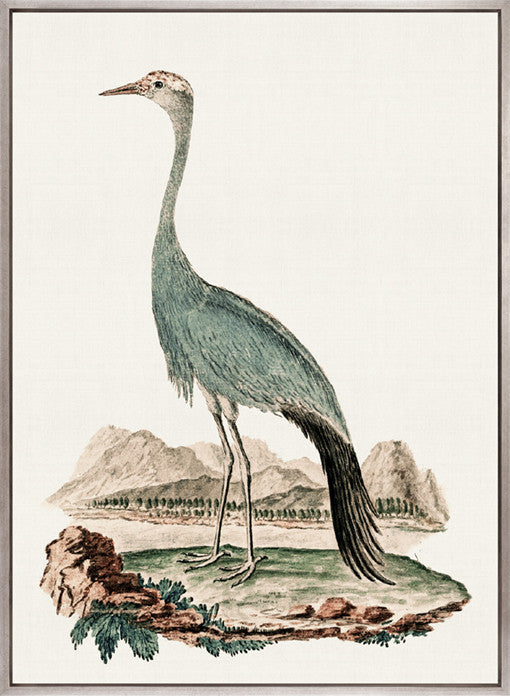 Waterbirds III (Canvas)