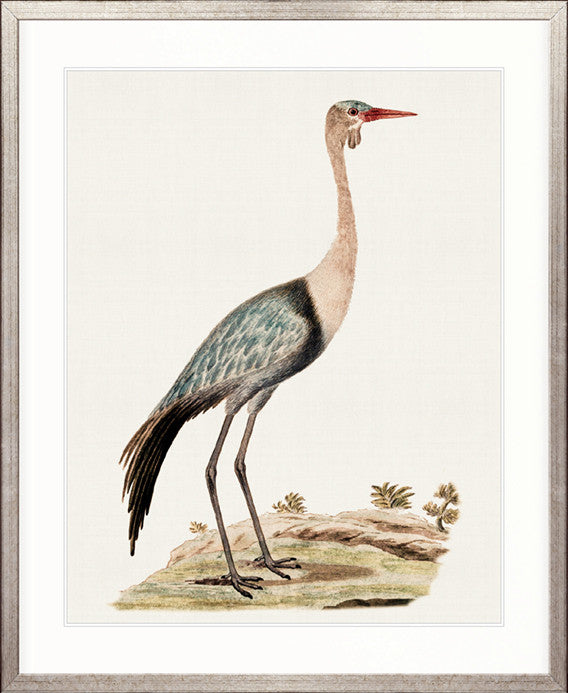 Waterbirds IV