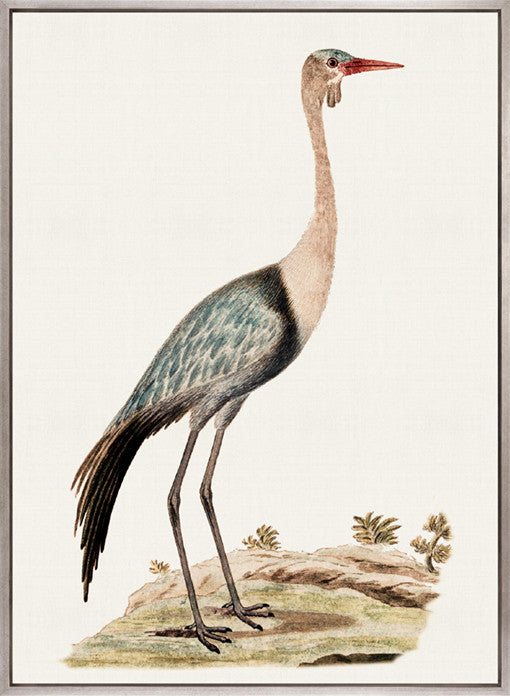 Waterbirds IV (Canvas)