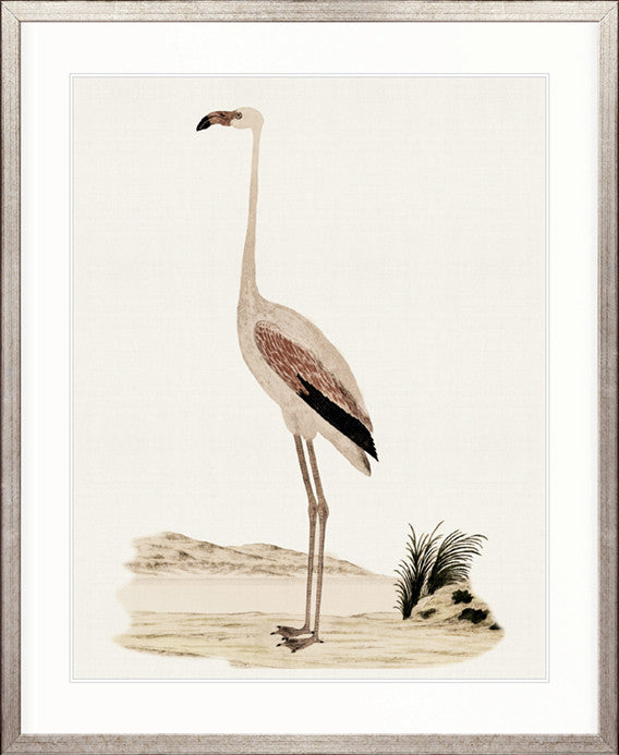 Waterbirds VI