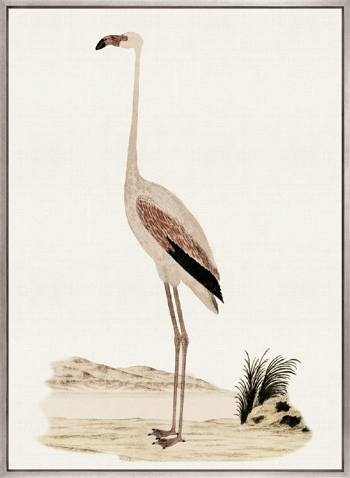 Waterbirds VI (Canvas)
