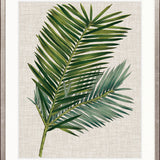 Tropical Evergreen I