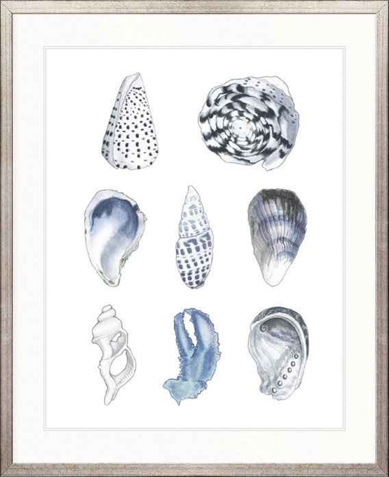 Seashell Collage VI