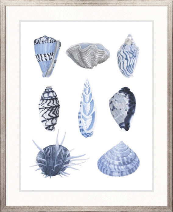 Seashell Collage VII