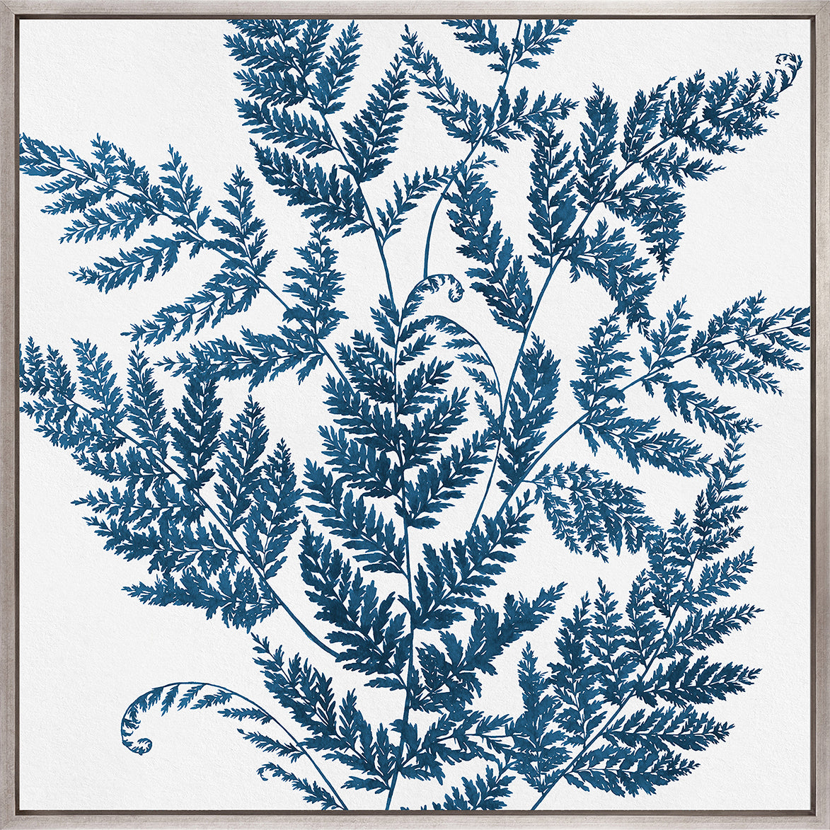 Fern Whisper I (Canvas)