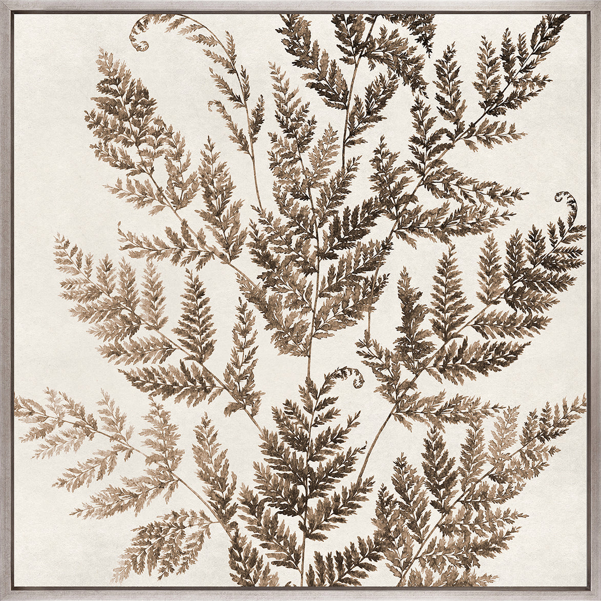 Fern Whisper V (Canvas)