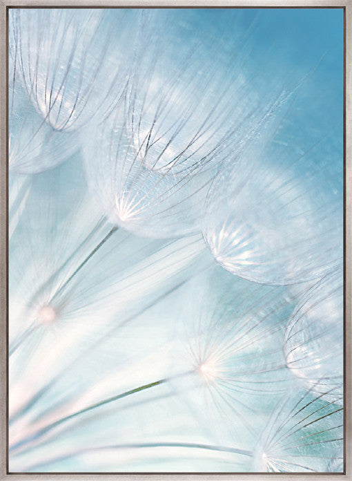 Floating Seeds I (Canvas)