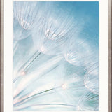 Floating Seeds I