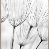 Floating Seeds II (Canvas)