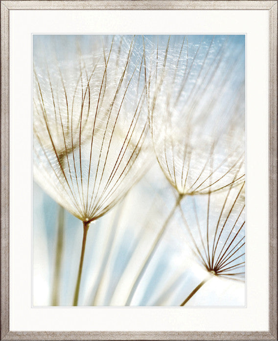 Floating Seeds III