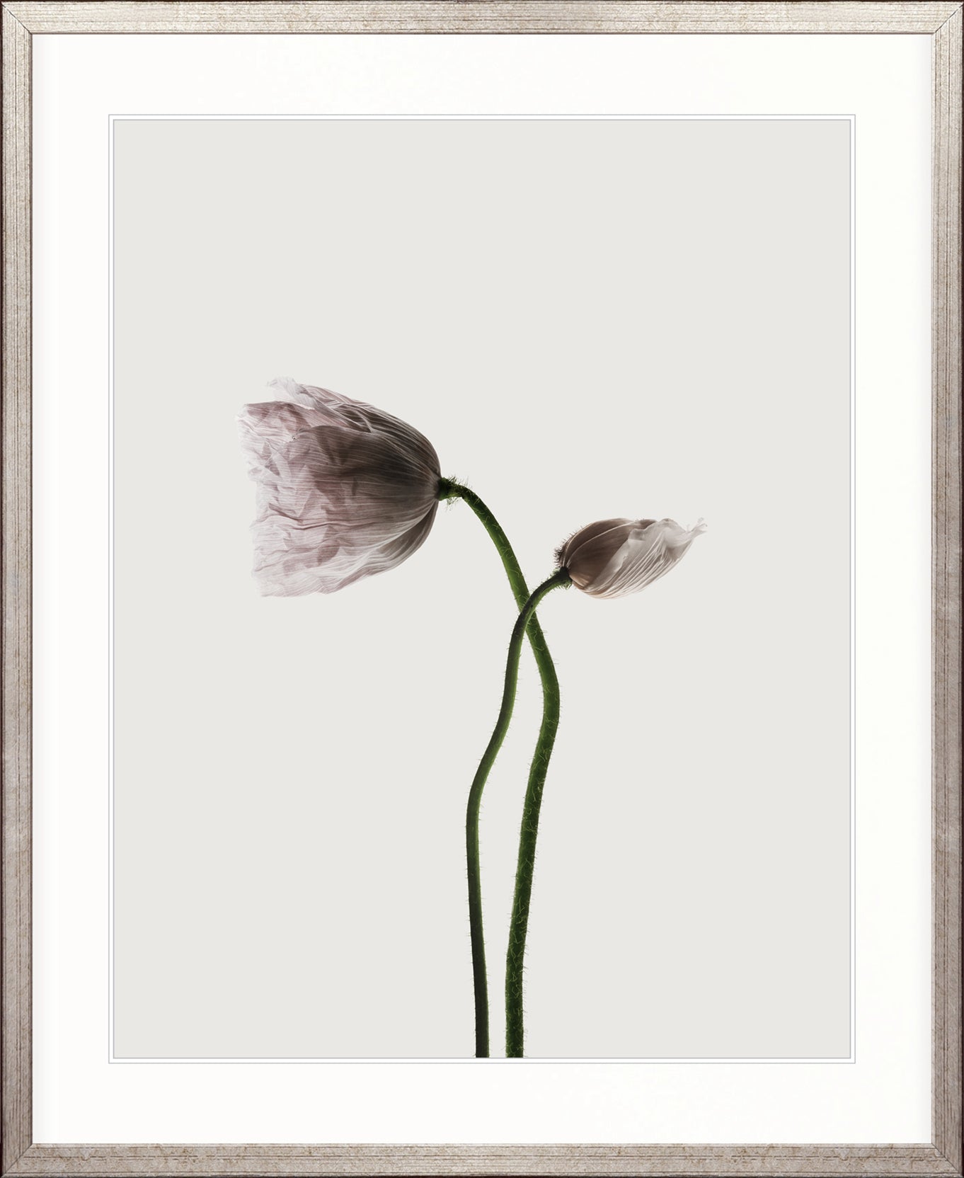 Floret I