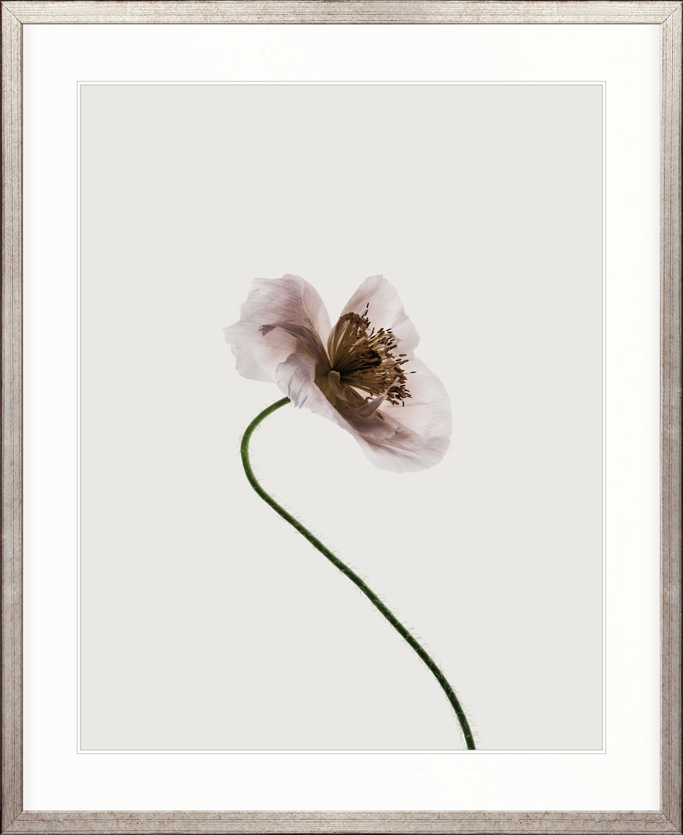 Floret III