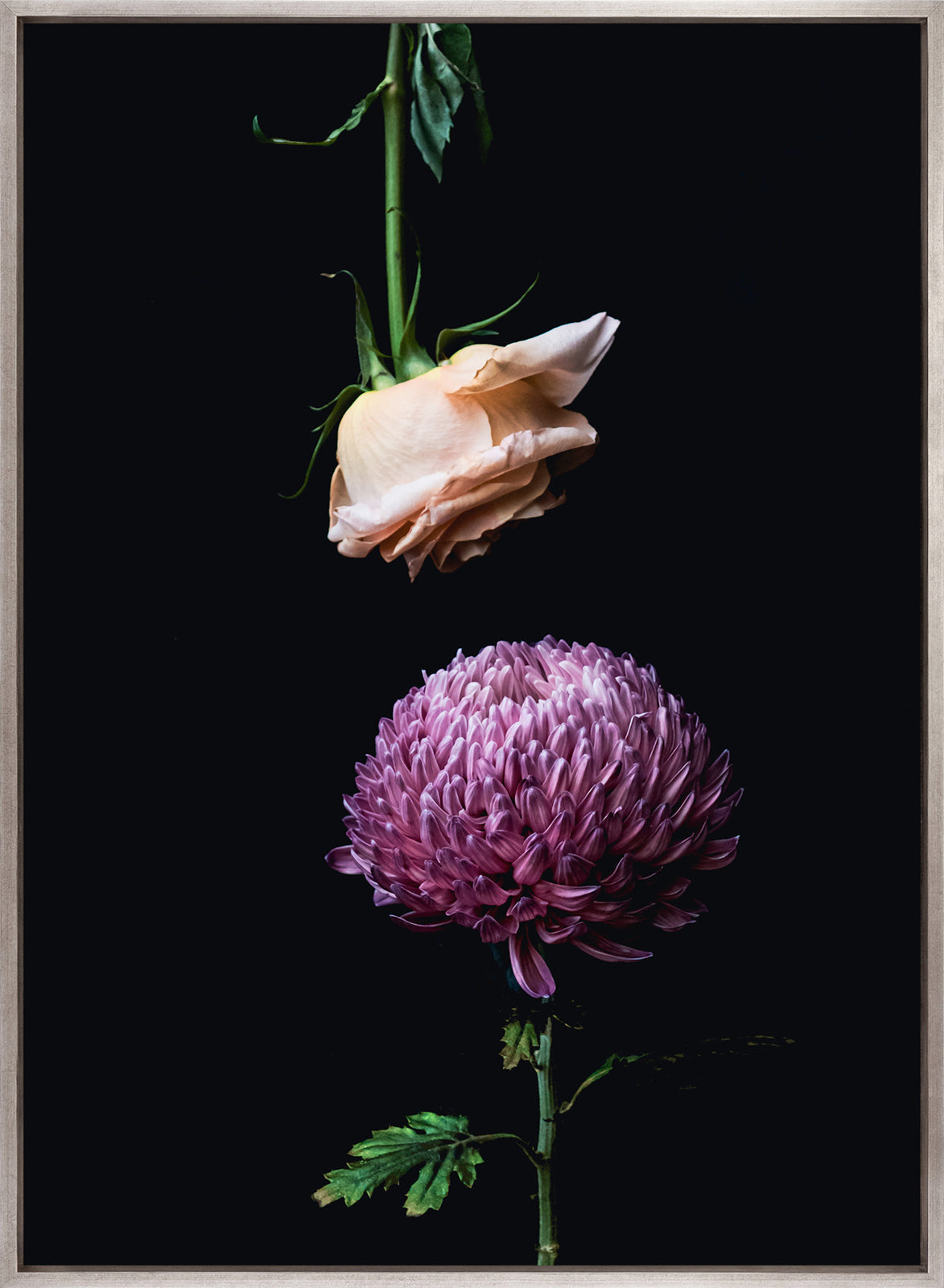 Floral Lens I (Canvas)