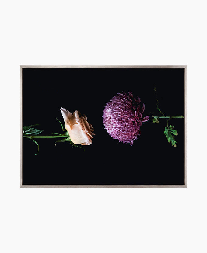 Floral Lens I (Canvas)