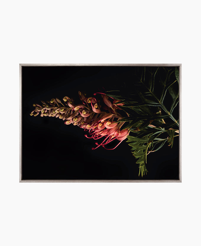 Floral Lens II (Canvas)