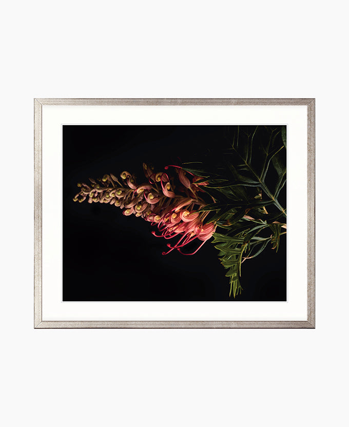 Floral Lens II