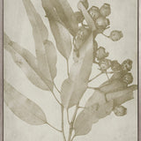 Foliage Splendour (Natural) V (Canvas)