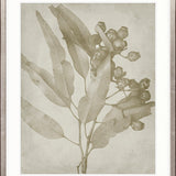 Foliage Splendour (Natural) V