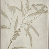 Foliage Splendour (Natural) VI (Canvas)