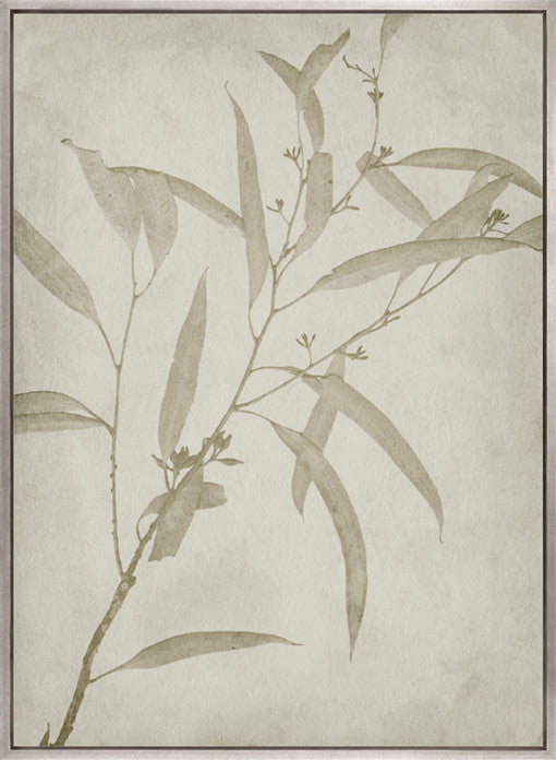 Foliage Splendour (Natural) VI (Canvas)