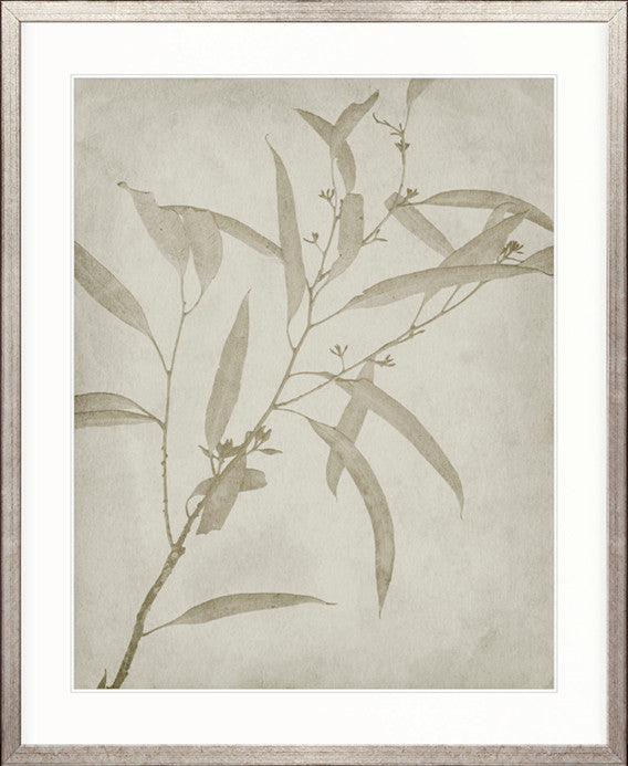 Foliage Splendour (Natural) VI