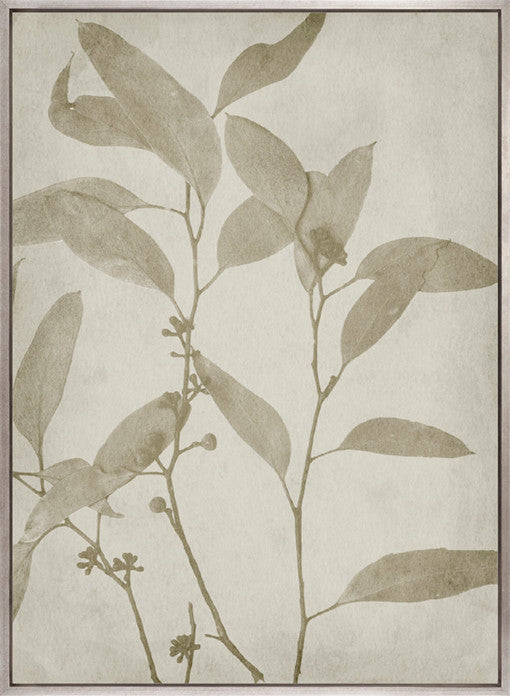 Foliage Splendour (Natural) VII (Canvas)