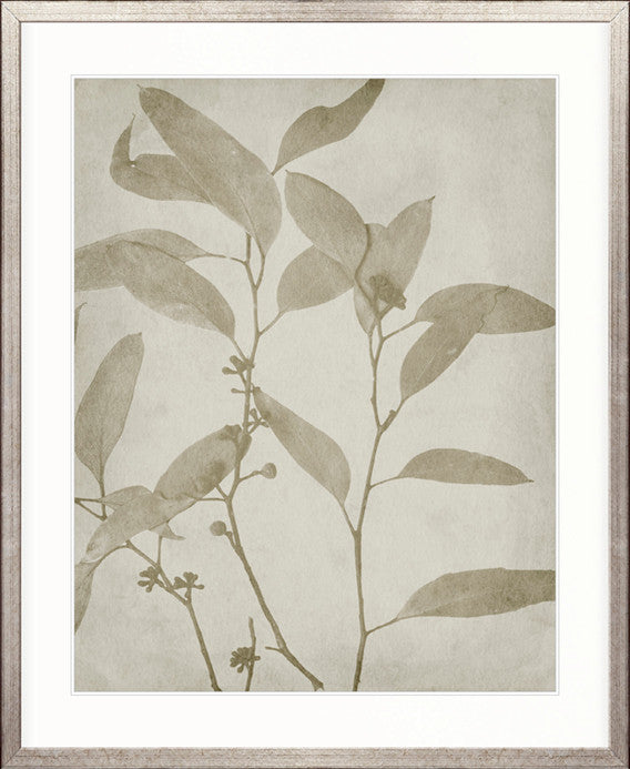 Foliage Splendour (Natural) VII