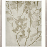 Foliage Splendour (Natural) VIII