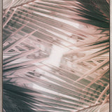 Gardiners Palms I (Canvas)