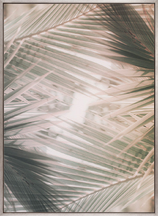 Gardiners Palms IV (Canvas)