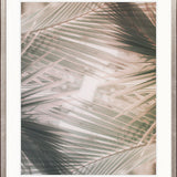 Gardiners Palms IV